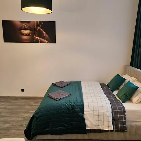 Apartamenty Lenart-3